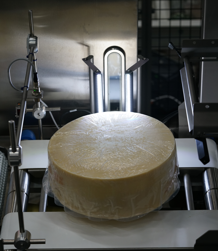 Large dairy - cheese production